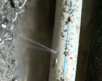 分宜卫生间测漏水多少钱